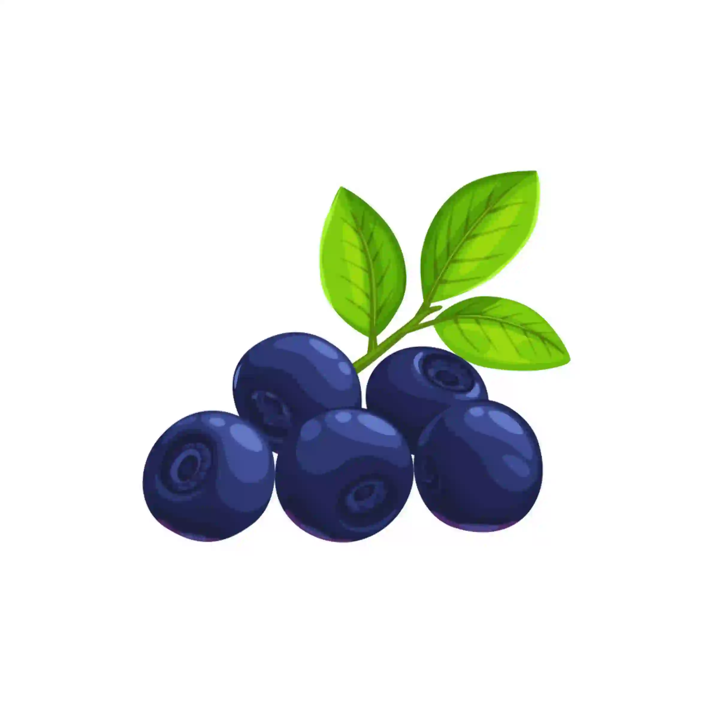 Blueberry Fruit