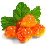 Cloudberry Fruit
