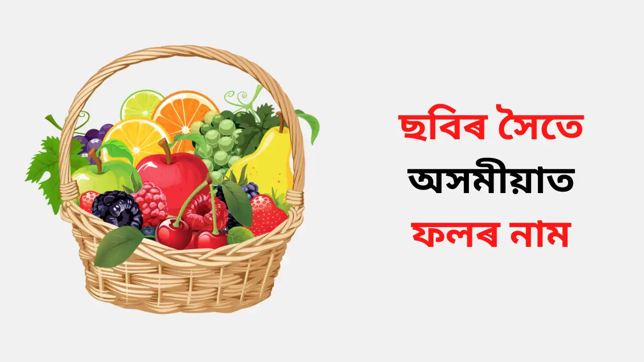 Fruits Name in Assamese
