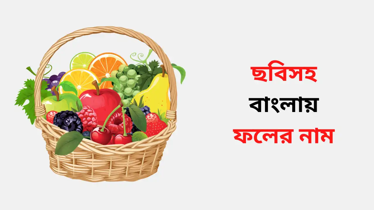 Fruits Name in Bengali