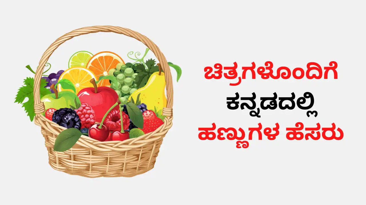 Fruits Name in Kannada