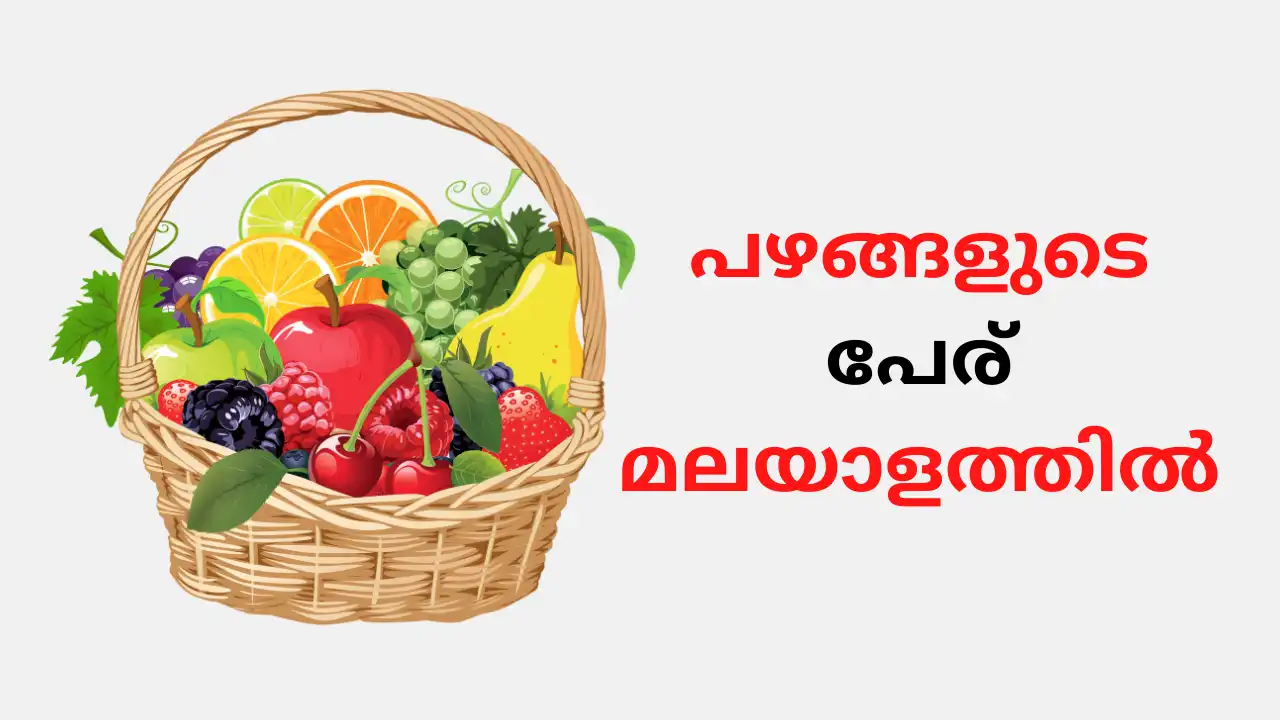 Fruits Name in Malayalam