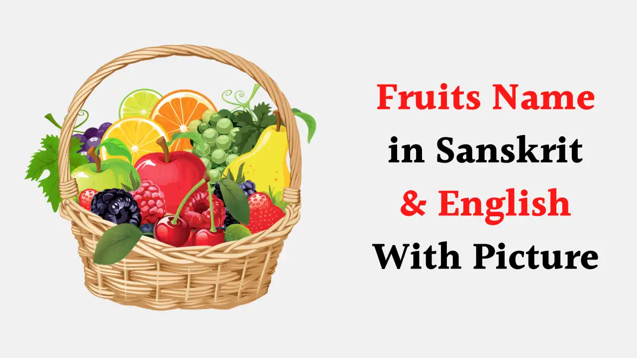 Fruits Name in Sanskrit