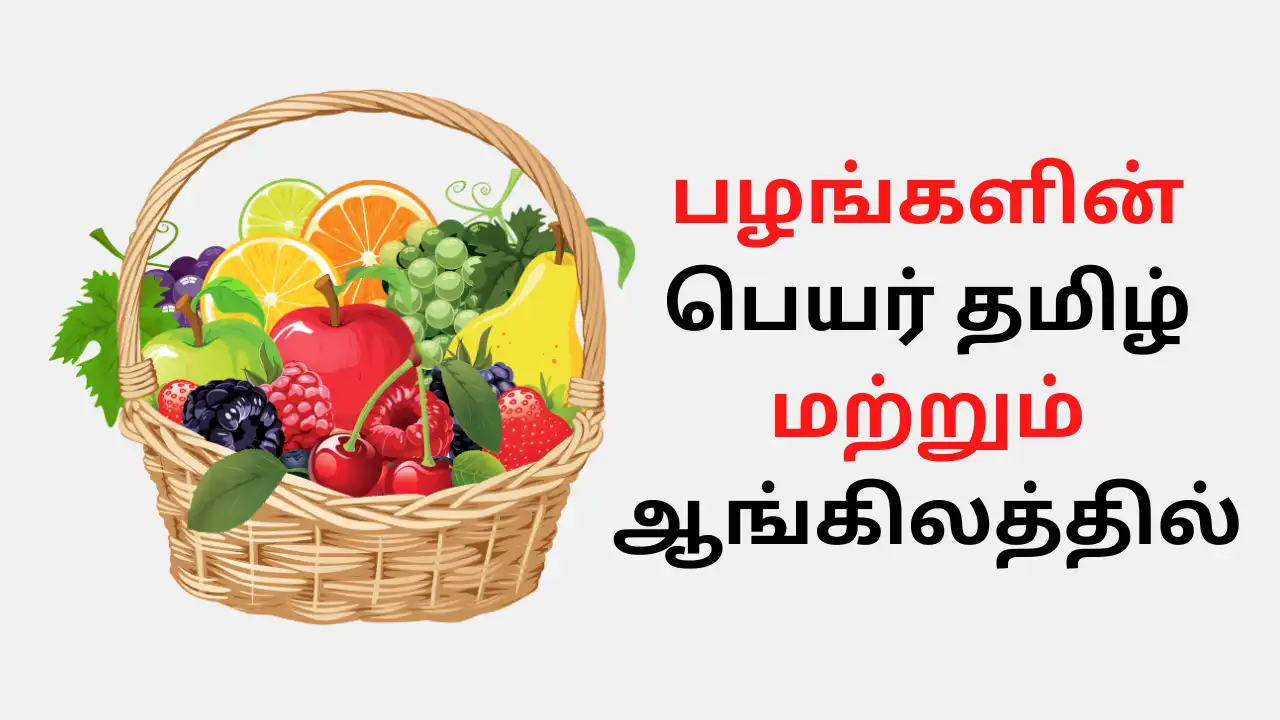 Fruits Name in Tamil