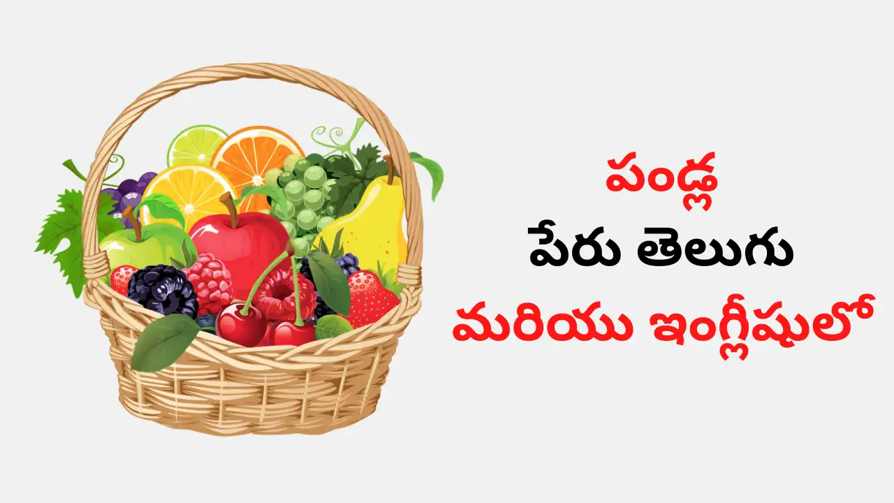 Fruits Name in Telugu