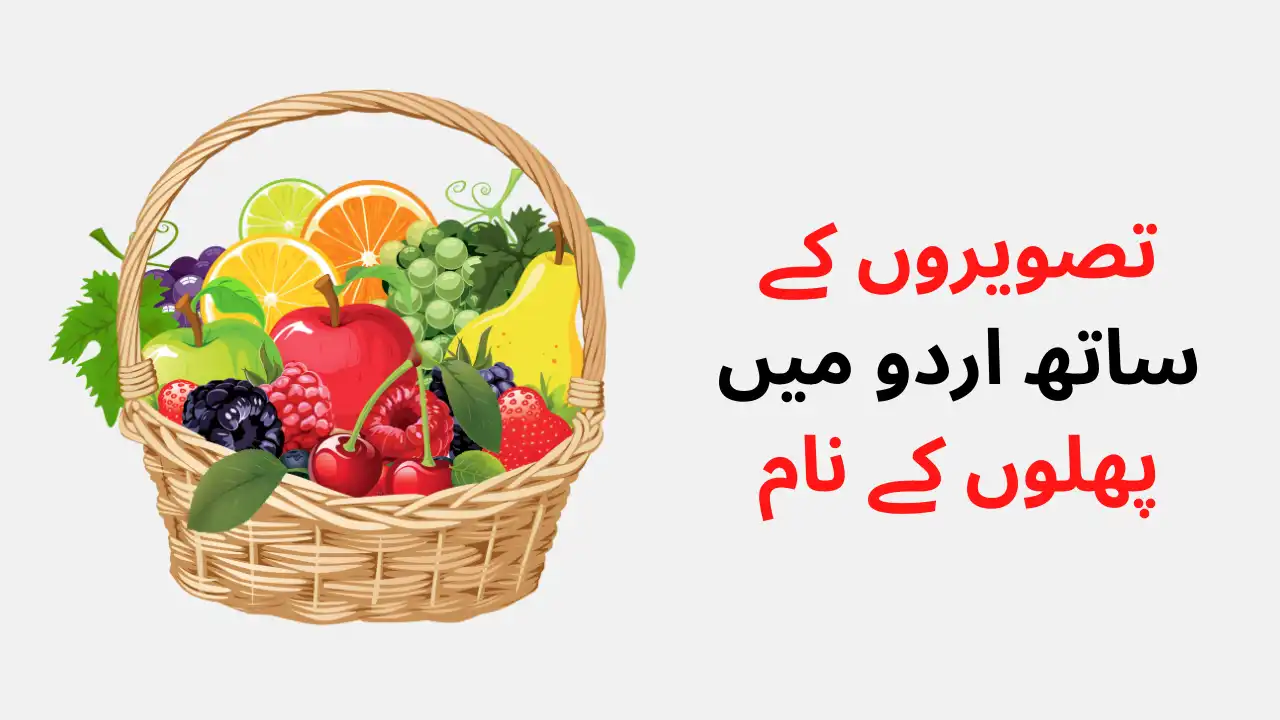 Fruits Name in Urdu