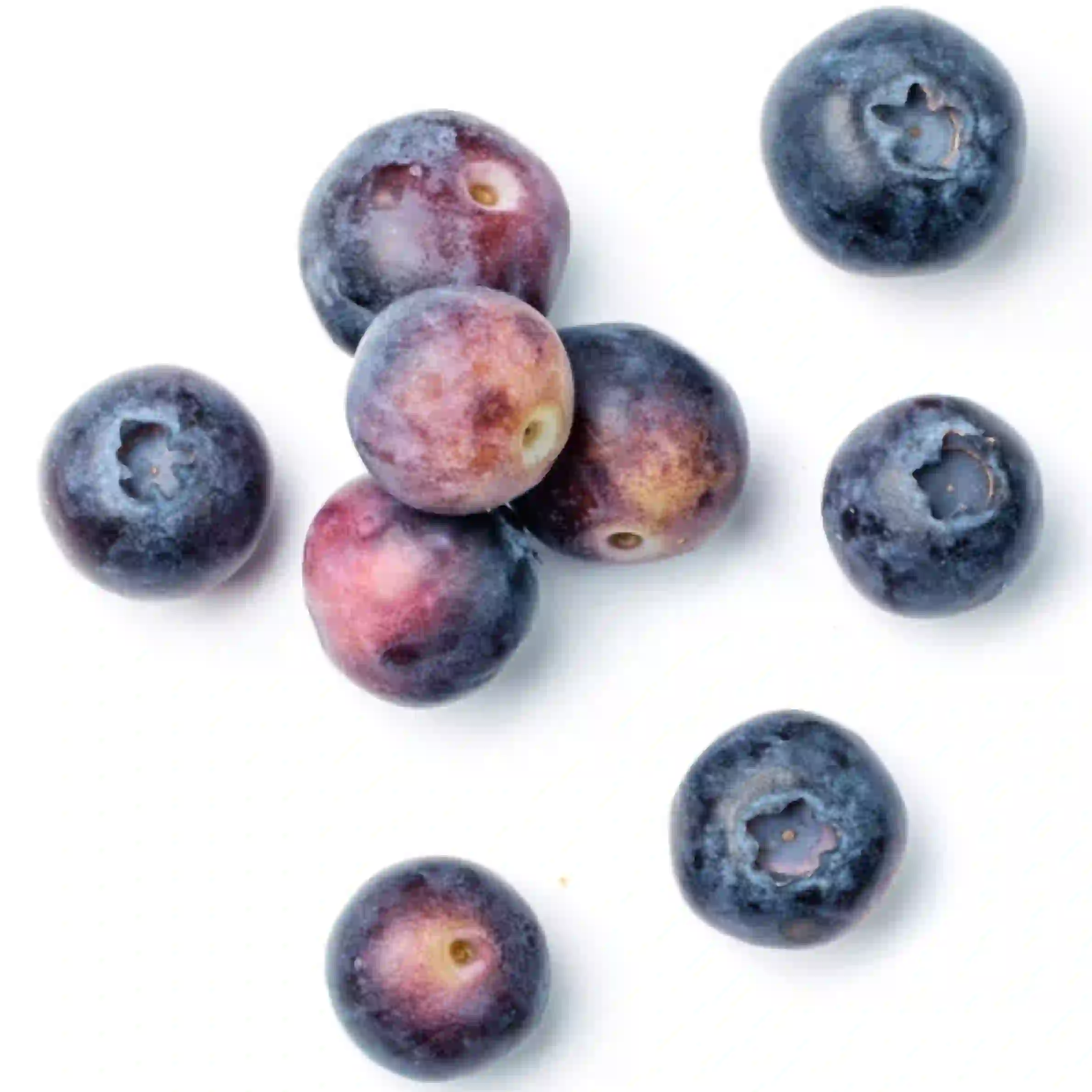 Huckleberry Fruit