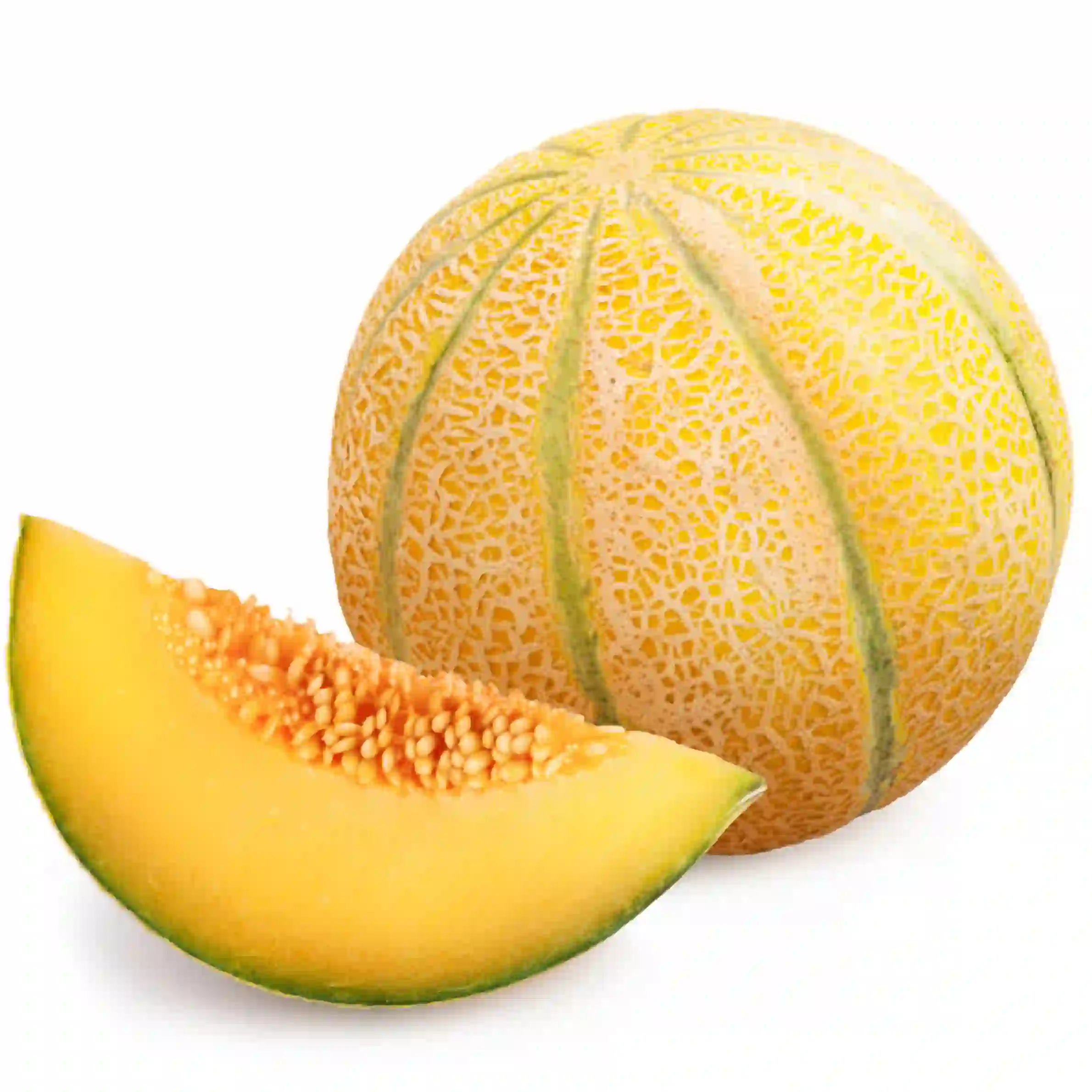 Muskmelon Fruit