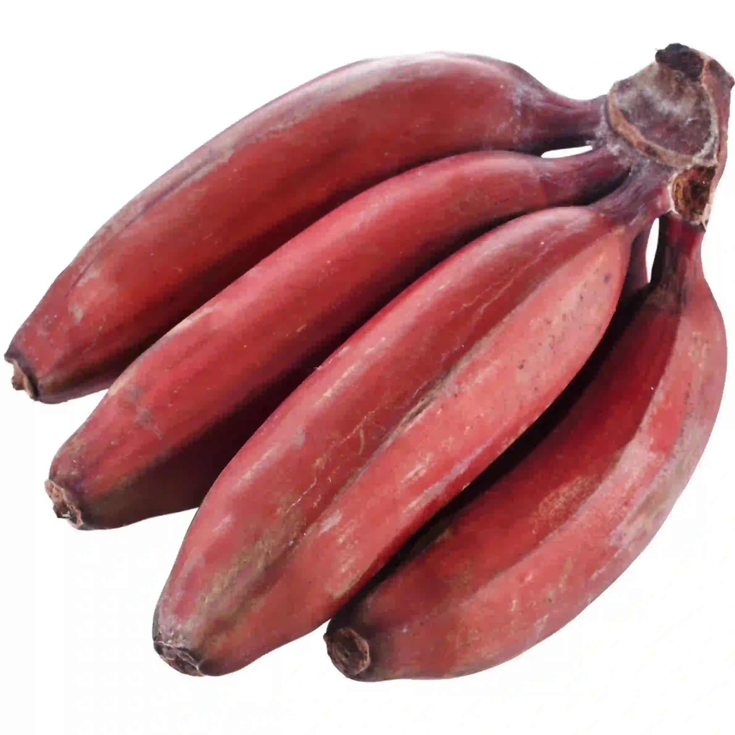 Red Banana Fruit