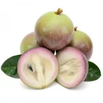 Star Apple Fruit